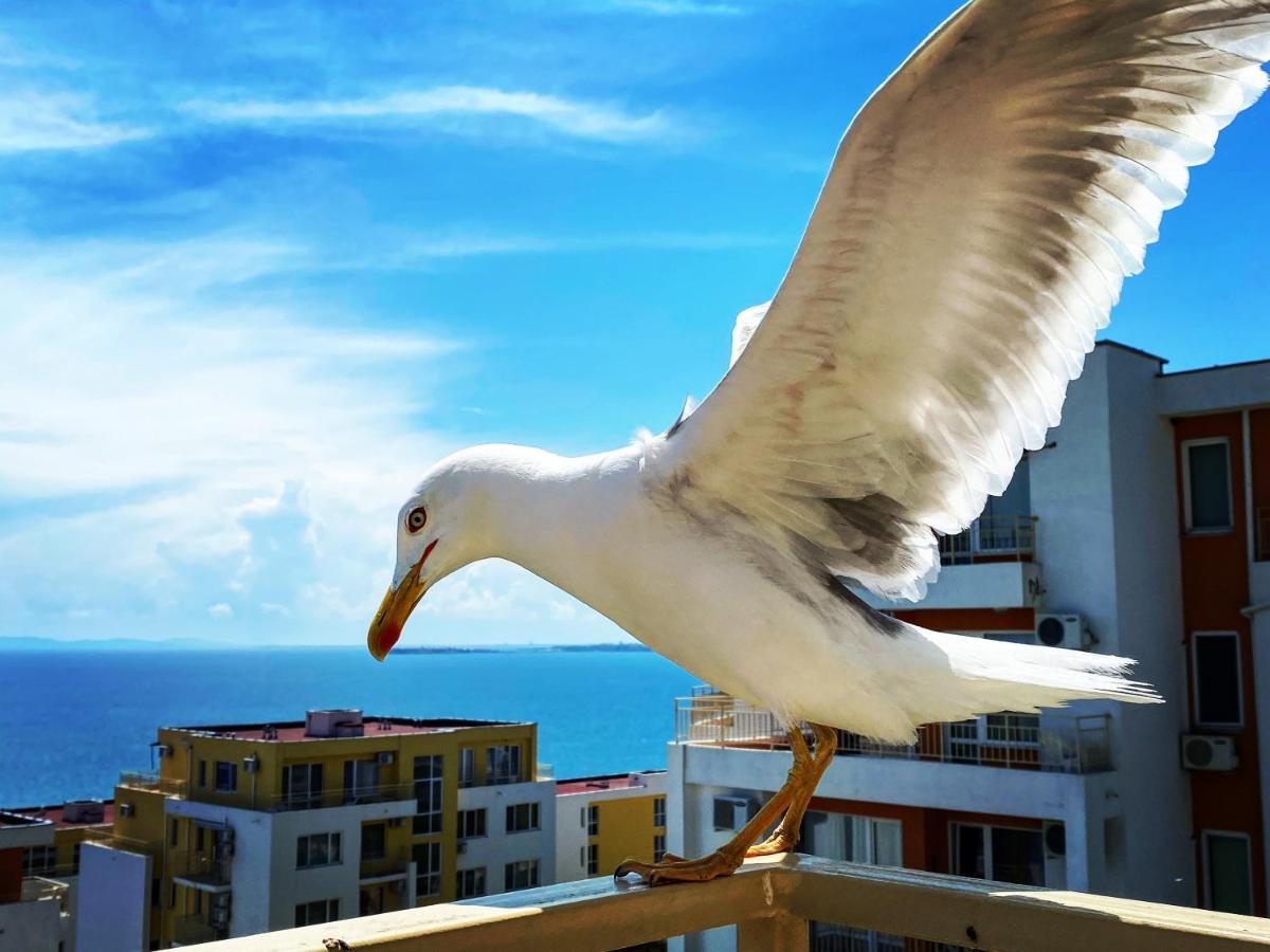 Sea View Panoramic Apartments, Fort Noks Crown Club Szveti Vlasz Kültér fotó
